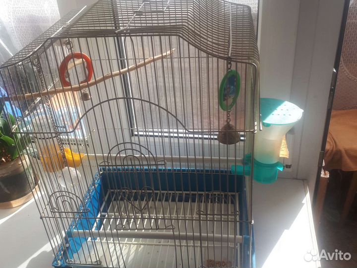 Клетка для попугая