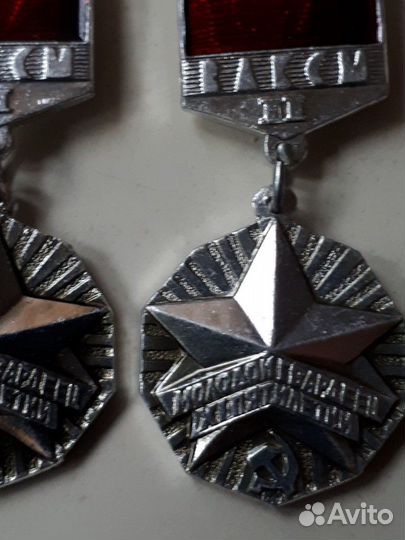 Молодой гвардеец пятилетки 2 степени