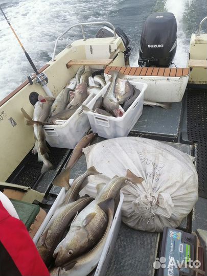 Морская рыбалка