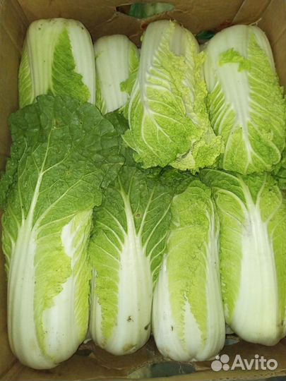 Овощи с доставкой