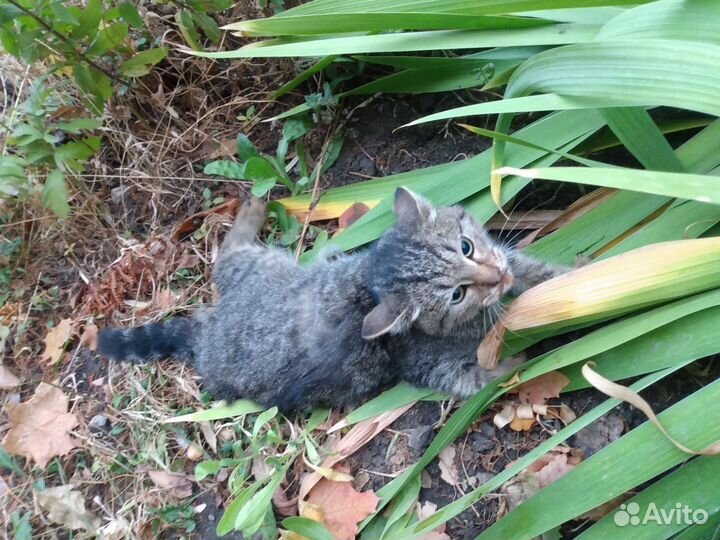 Сломанная жизнь