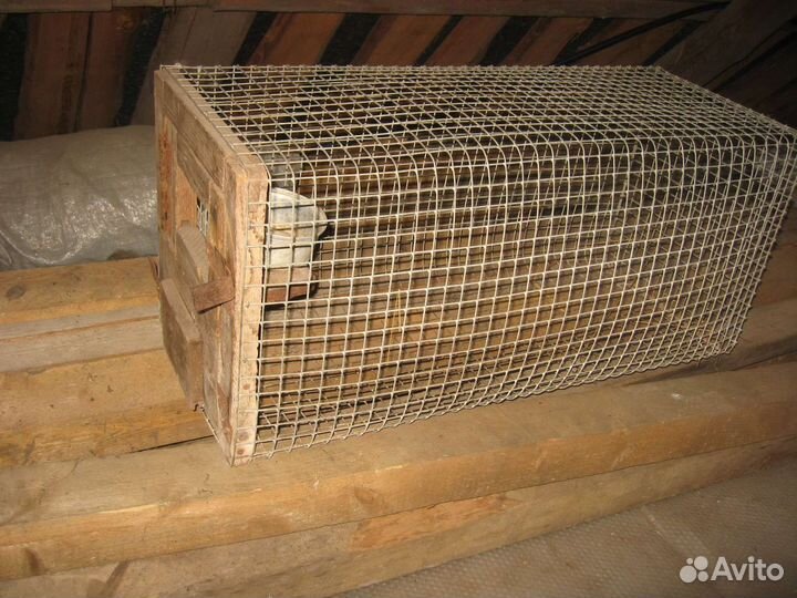 Клетки для кроликов бу