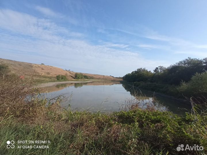 Недвижимость