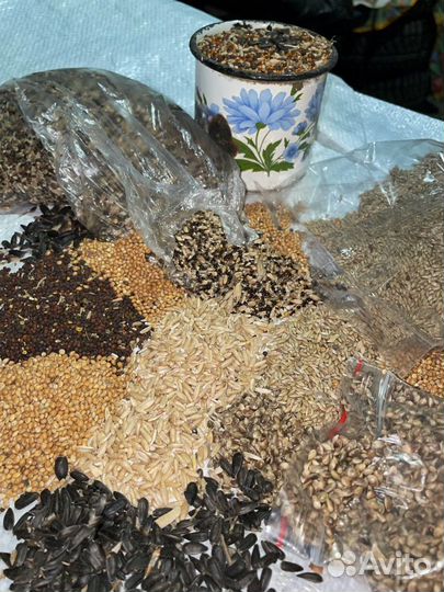 Кормосмесь для канареек и певчих птиц