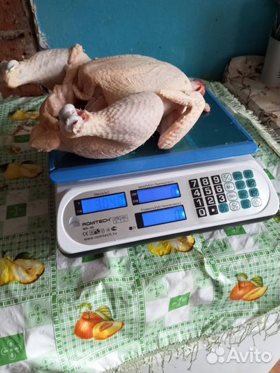 Мясо бройлера