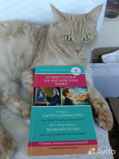 Книга для чтения на английском