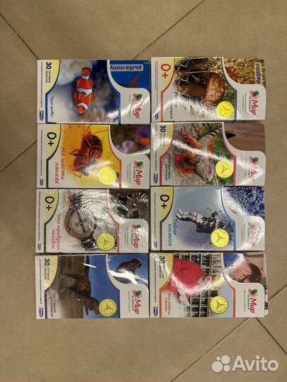 Карточки мир на ладошке