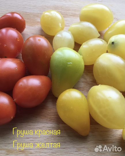 Семена томатов из Англии