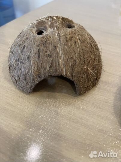 Домики укрытия для аквариума