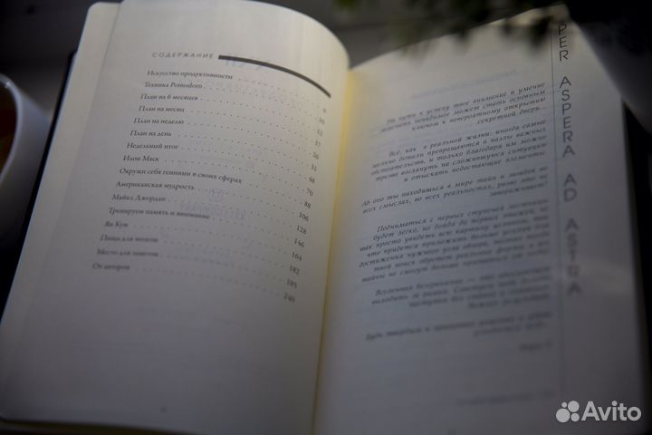 Ежедневник планер
