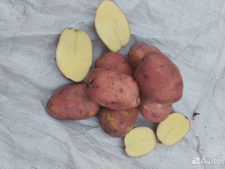 Органические овощи и соленья