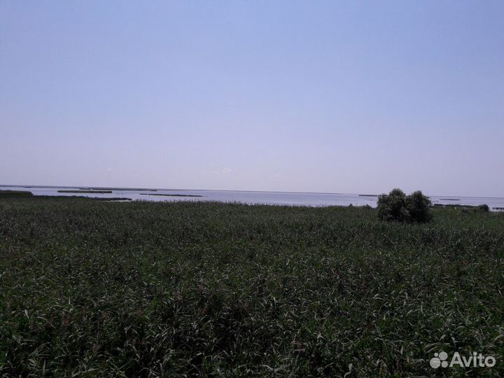 Экскурсовод по городу и области Астрахани