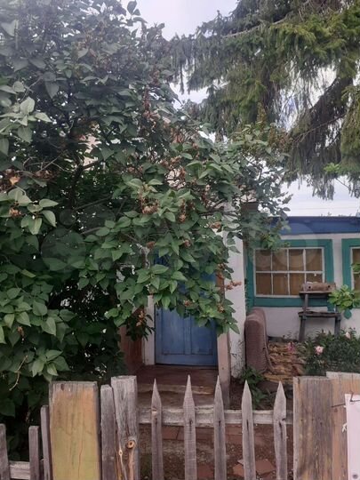 Дача 27,3 м² на участке 7 сот.