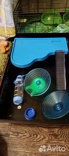 Клетки для хомяков