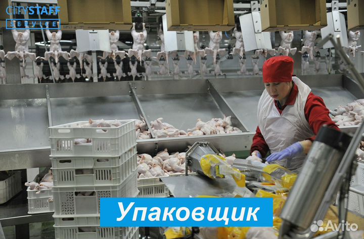 Упаковщик вахтой проживание питание