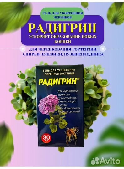 Радигрин в ассортименте