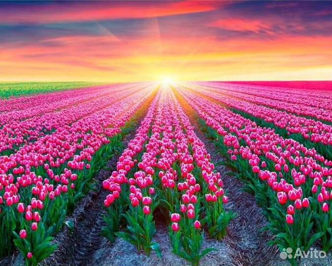 Алмазная мозаика