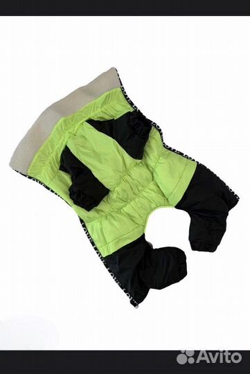 Комбинезон для таксы