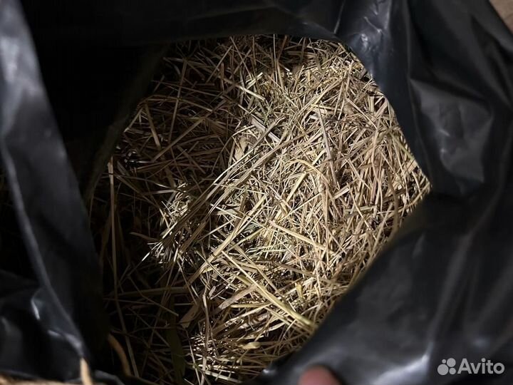 Сено луговое/корм для грызунов (кроликов)