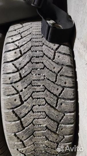 Cordiant Polar 205/55 R16