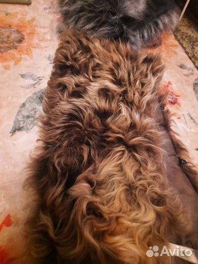 Меховые воротники