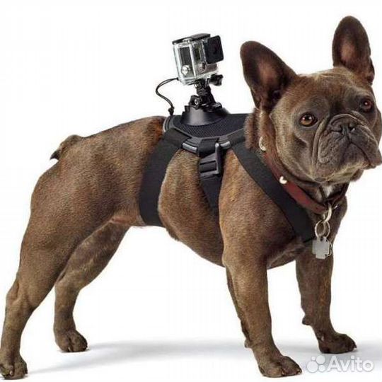 Крепление-упряжка для собак Fetch Dog Harness