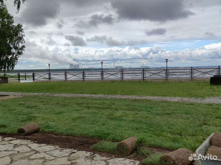 Отличный газон под ключ