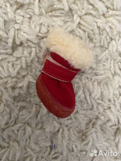 Обувь для маленьких собак