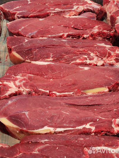 Мясо говядина домашняя