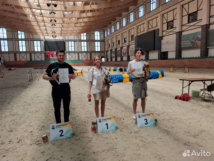 Кинолог/дрессировка собак