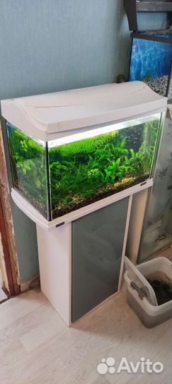 Аквариумы с тумбой 60л б/у