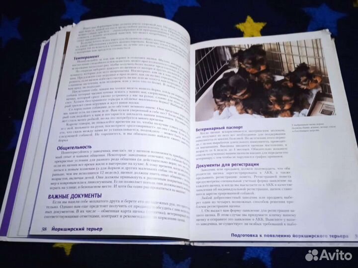 Иокширский терьер