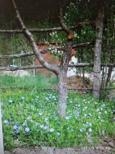 Участок 12 сот. (ИЖС)