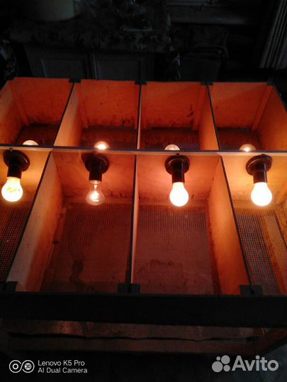 Брудер и клетки для цыплят.по- (штучно)