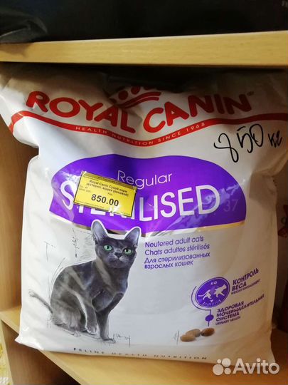 Роял канин для британских кошек