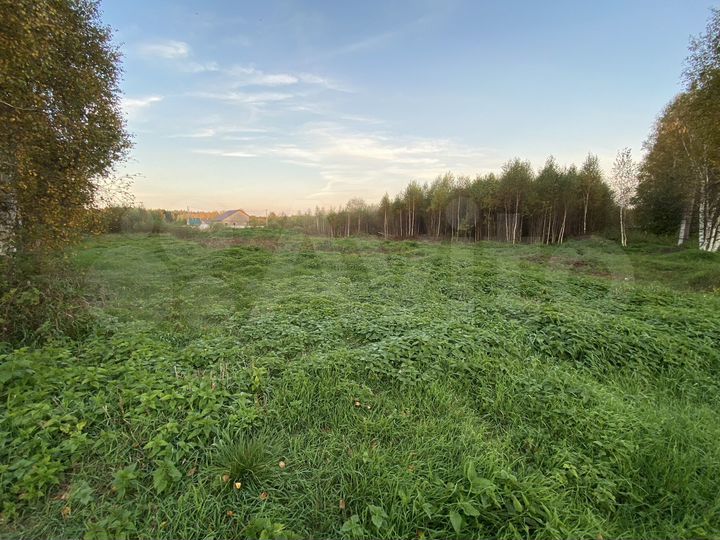 Участок 14 сот. (СНТ, ДНП)