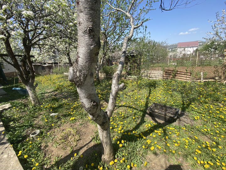 Дом 60 м² на участке 5 сот.