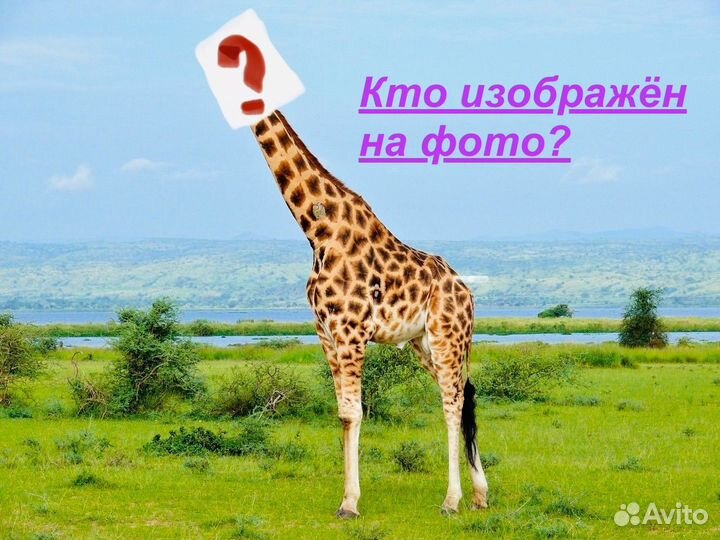 AirPods Pro 2 (Чехол + Гарантия + Доставка)