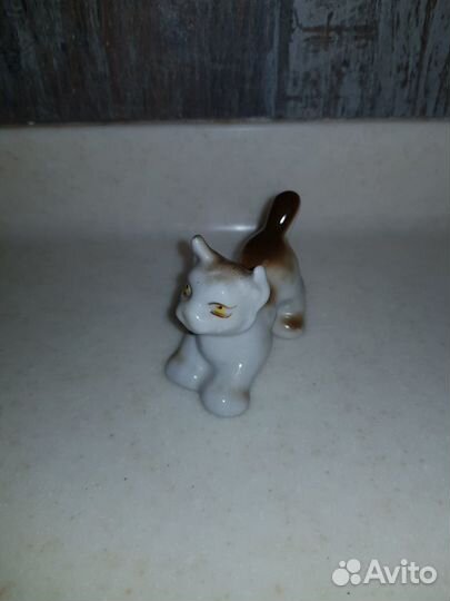 Лисенок, рысенок зхк Полонное