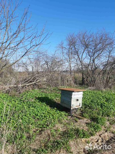 Улей для пчел бу