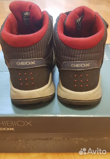 Ботинки для мальчика Geox 29