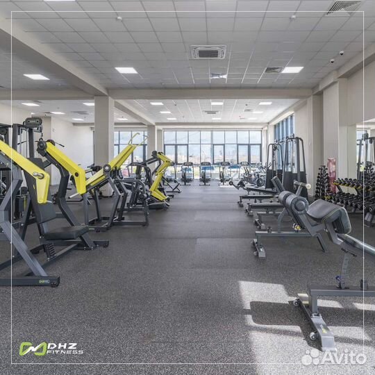 Профессиональные тренажеры DHZ