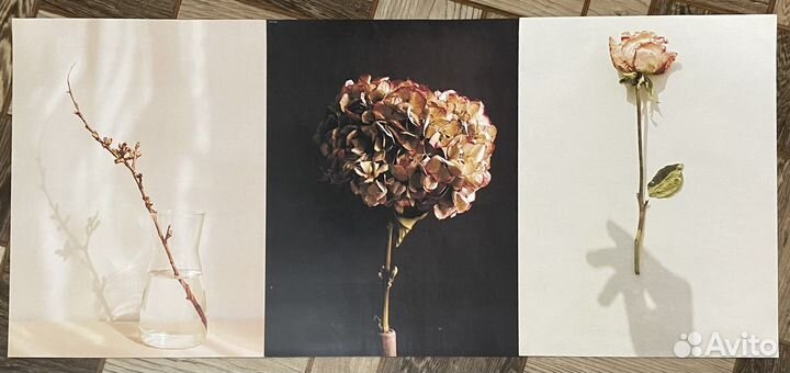 Постеры 30 на 40см