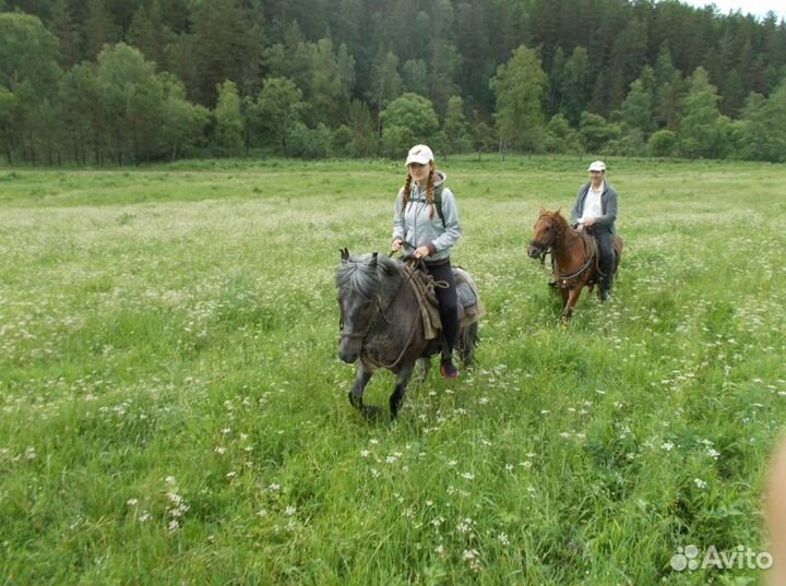 На Алтай лето путевка экскурсии от 6 до 8 дн