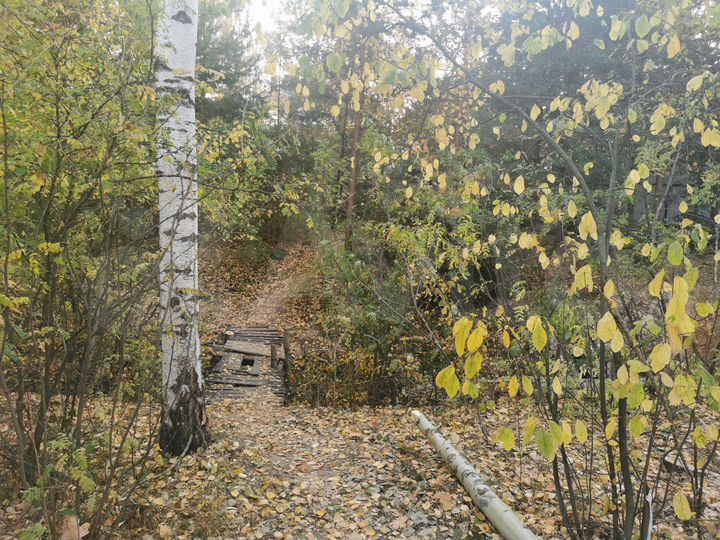 Участок 7,5 сот. (ИЖС)