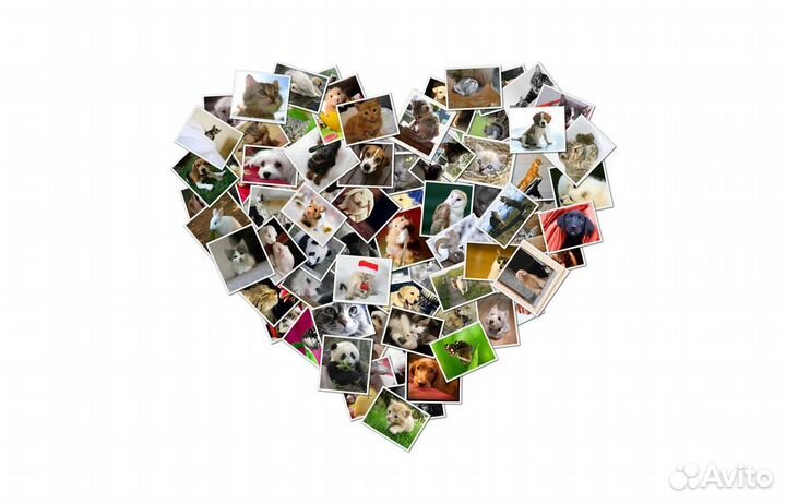 Фото на документы за 5мин.Ксерокопия-распечатка