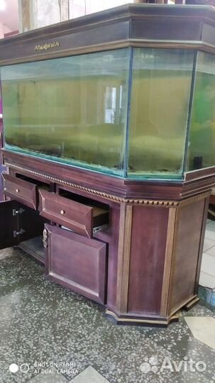 Аквариум с тумбой бу 1000 лит