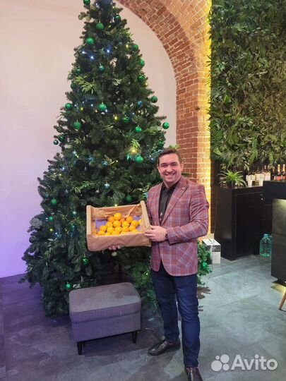 Ведущий праздников (свадьбы, юбилеи, корпоративы)