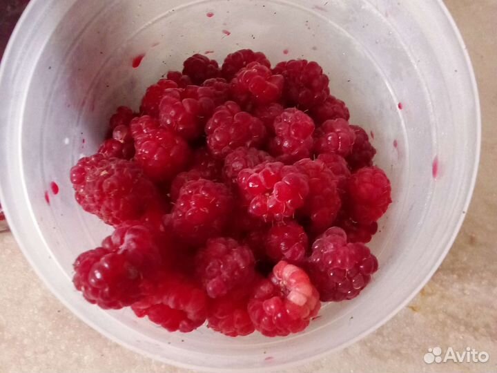 Малина 1л 350р