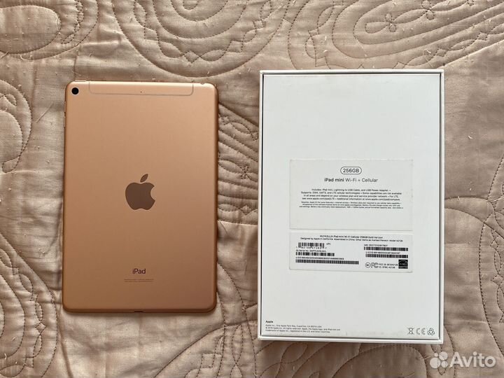 iPad mini 5 256gb cellular